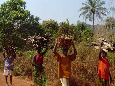 Les enfants portent des fagots de bois